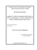 Nghiên cứu chuyển gen kháng thuốc diệt cỏ vào lan dendrobium cv. Burana white bằng vi khuẩn agrobacterium tumefaciens