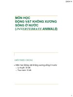 Bài giảng Động vật không xương sống ở nước