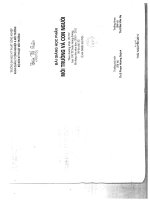 bài giảng môi trường và con người