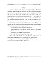 đề tài thiết kế nhà máy sản xuất enzym amylaza