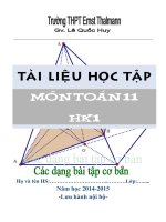 tài liệu học tập môn toán lớp 11 học kỳ 1 - thpt ernst thalmann