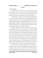 Chuyển pha phản sắt từ trong mô hình hubbard liên kết mạnh bằng phương pháp nghịch đảo