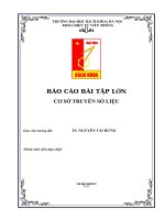 Độ dài hàng đợi và thời gian trung bình tại các Router Ri mô phỏng NS2_Full Code