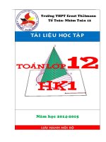 tài liệu học tập môn toán lớp 12 học kỳ 1 - thpt ernst thalmann