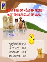 Công nghệ sản xuất bia slide