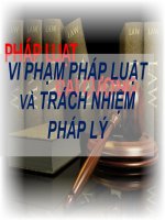 Bài thuyết trình pháp luật đại cương vi phạm pháp luật và trách nhiệm pháp lý