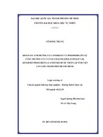 KHẢO SÁT ẢNH HƯỞNG CỦA NITROGEN VÀ PHOSPHOR LÊN SỰ TĂNG TRƯỞNG CỦA VI TẢO CHAETOCEROS SUBTILIS VAR. ABNORMIS PROSCHKINALAVRENKO ĐƯỢC PHÂN LẬP Ở HUYỆN CẦN GIỜ, THÀNH PHỐ HỒ CHÍ MINH