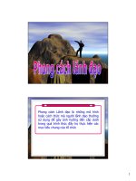 Bài giảng quản trị nguồn nhân lực : Phong cách lãnh đạo