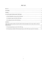 khảo sát dặc tính phương hướng chấn tử đối xứng (bài tập lớn)