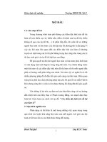 Các điểm đặc biệt trên đồ thị của hàm số khóa luận tốt nghiệp