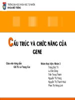 Cấu trúc và chức năng của gen