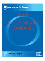 cơ cấu vốn của một doanh nghiệp
