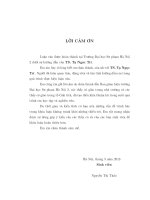 Một số Tôpô thường gặp trong không gian các toán tử tuyến tính bị chặn của một không gian Hilbert