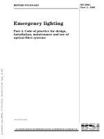 BS 5266  4 1999 emergency lighting