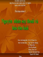 Nguyên nhân suy thoái và bảo tồn loài