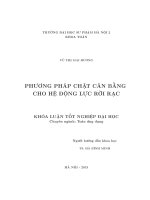 Phương pháp chặt cân bằng cho hệ động lực rời rạc khóa luận tốt nghiệp