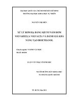 Xử lý rơm rạ bằng sợi tơ nấm rơm volvariella volvacea và đánh giá khả năng tạo bioethanol