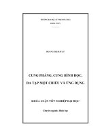 Cung phẳng, cung hình học, đa tạp một chiều và ứng dụng