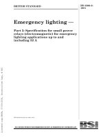 bs 5266-3-1981 emergency lighting