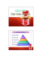 Bài giảng quản trị nguồn nhân lực Động viên tinh thần làm việc