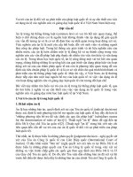 Vai trò của án lệ đối với sự phát triển của pháp luật quốc tế và sự cần thiết của việc sử dụng án lệ vào nghiên cứu và giảng dạy luật quốc tế ở việt nam nam hiện nay