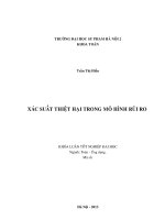 Xác suất thiệt hại trong mô hình rủi ro khóa luận tốt nghiệp