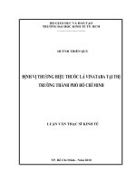 Định vị thương hiệu thuốc lá Vinataba tại thị trường Thành Phố Hồ Chí Minh