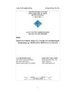 Khảo sát động thái của vi khuẩn cố định đạm pseudomonas sp  trong đất trồng lúa cao sản