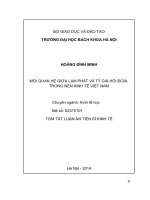 Mối quan hệ giữa lạm phát và tỷ giá hối đoái trong nền kinh tế Việt Nam (tóm tắt + tòm văn)
