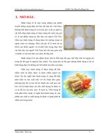 Công nghệ sản xuất bánh tráng rế