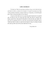 phân tích tình hình tài chính tại công ty trách nhiệm hữu hạn một thành viên đầu tư và phát triển chè nghệ an