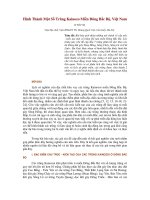 Hình Thành Một Số Trũng Kainozo Miền Đông Bắc Bộ, Việt Nam