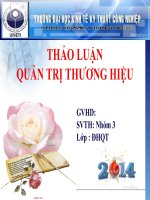 Bài thảo luận Quản trị thương hiệu