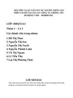 Đồ Án Tốt Nghiệp - Tái Cơ Cấu Nguồn Nhân Lực Trên Cơ Sở Tái Cơ Cấu Công Ty Thông Tin Di Động VMS – MOBIFONE