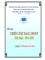 Chiến lược phát triển hoàng anh gia lai (2014 2020)