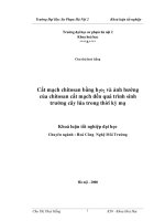 Cắt mạch Chitosan bằng H2O2 và ảnh hưởng của Chitosan cắt mạch đến quá trình sinh trưởng của cây lúa trong thời kỳ mạ