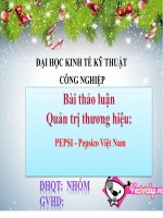 Bài Thảo Luận - Quản Trị Thương Hiệu  PEPSI Của PEPSICO Việt Nam