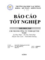 THỰC TRẠNG  VỀ CÔNG TÁC “KẾ TOÁN  TIÊU THỤ VÀ XÁC ĐỊNH KẾT QUẢ KINH DOANH”TẠI CHI NHÁNH  CÔNG TY TNHH QUỲNH NGỌC