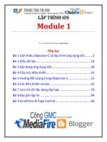 Giáo trình lập trình iSO (module 1)   trung tâm tin học đh KHTN