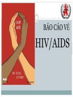BÁO CÁO NGHIÊN CỨU VỀ HIV/AIDS