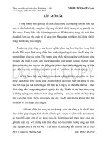 Đồ Án Tốt Nghiệp -  Nâng Cao Hiệu Quả Hoạt Động Marketing – Mix Cho Công Ty Cổ Phần Bia Hà Nội