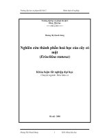 Nghiên cứu thành phần hóa học của cây cỏ mật (ERIOCHLOA RAMOSA)