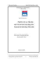Nghiên cứu sự hấp phụ một vài Ion kim loại nặng trên Bentonit di linh được biến tính