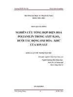 Nghiên cứu tổng hợp điện hoá Polianilin trong Axit H2SO4 dưới tác động Oxi hoá khử của Ion Sắt
