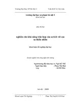 Nghiên cứu khả năng trôn hợp của Sericit với cao su thiên nhiên