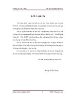 Nghiên cứu tổng hợp Polianlin và tương tác oxi hoá khử với Ion Cr3+