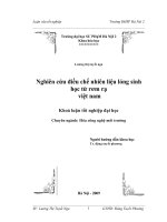 Nghiên cứu điều chế nhiên liệu lỏng sinh học từ rơm rạ Việt Nam