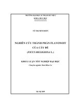 Nghiên cứu thành phần Flavonott của cây đề (FICUS RELIGIOSA L)