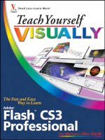 teach yourself visually adobe flash cs3 professional a