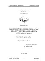 Nghiên cứu thành phần hoá học của cây Lục thảo hoa thưa (Chlorphytum Laxum)